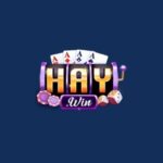 HAYWIN