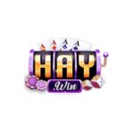 haywin1now