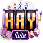 HAYWIN