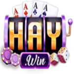 Haywin2app