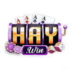 HAYWIN có uy tín không? Đánh giá nhà cái casino trực tuyến, link chính thức, hướng dẫn đăng ký và nạp rút 2026 - haywin2.club