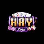 haywinfit