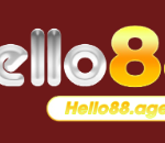 hello881df