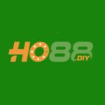 ho88diy