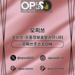 홍대오피 오피사이트.NET 홍대OP