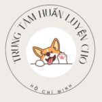 huanluyencho1
