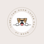 huanluyenchoq10