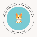 huanluyenchoq4