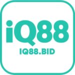 Iq88bid