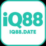 iq88