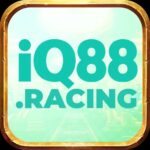 iq88racing