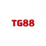ktg88com