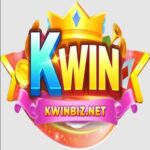 kwinbiznet