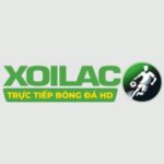 laughingheartlodge.com thao túng kết quả tìm kiếm