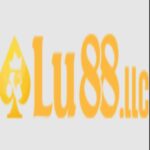 lu88llc