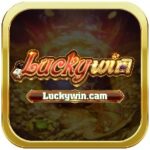 luckywincam