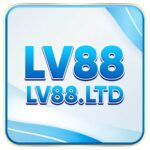 lv88ltd
