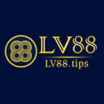 lv88tips