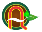 maccaanhquoc