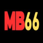 MB66