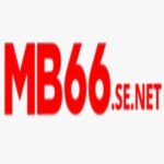 MB66