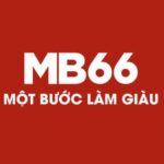 mb66vncx