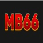 MB66