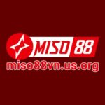 Miso88