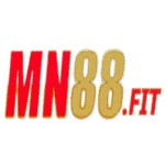Mn88 fit