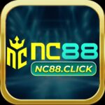 NC88