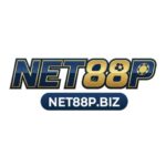 Net88p Biz