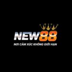 NEW88