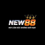 NEW88