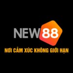 NEW88
