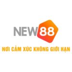 NEW88