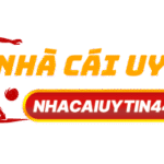 nhacaiuytin44
