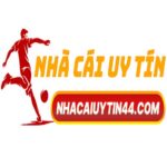 nhacaiuytin44com