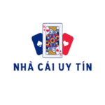 nhacaiuytinbp