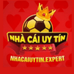 nhacaiuytinexpert