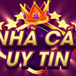 nhacaiuytinhb