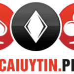 nhacaiuytinplace