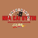 nhacaiuytinsalon