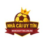 nhacaiuytinsonline