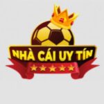 nhacaiuytinsus