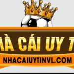 nhacaiuytinvlcom