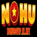 Nohu90vipinnet