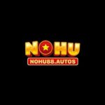 Nohu autos