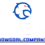 nowgoalcompany