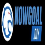 Nowgoal diy