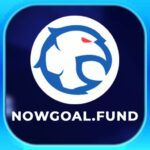 Nowgoal - Nền Tảng Phân Tích Tỉ Lệ Và Dữ Liệu Bóng Đá Hàng Đầu